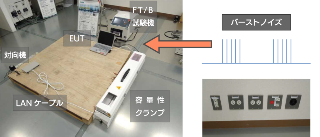 ＦＴ／Ｂイミュニティ試験