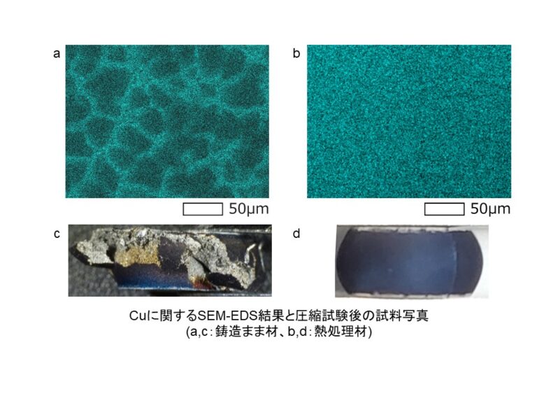 Cuに関するSEM-EDS結果と圧縮試験後の試料写真