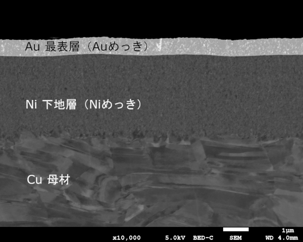 イオンミリング装置による前処理を施した端子断面