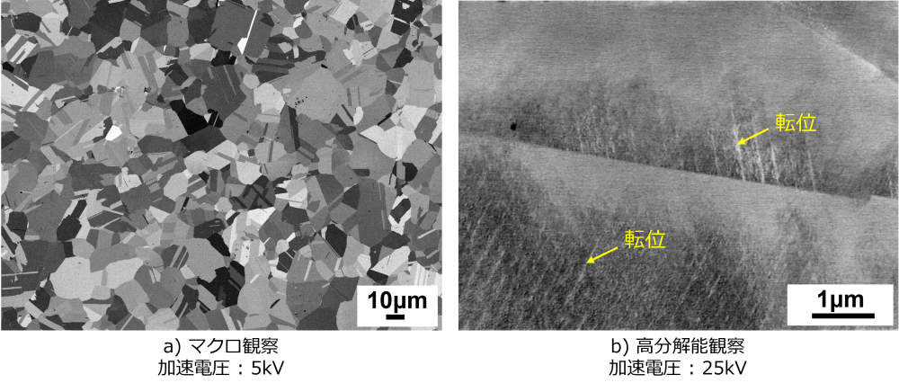 鉄鋼材料の転位のSEM観察事例