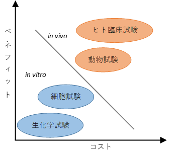 食品の機能性評価試験の位置付け