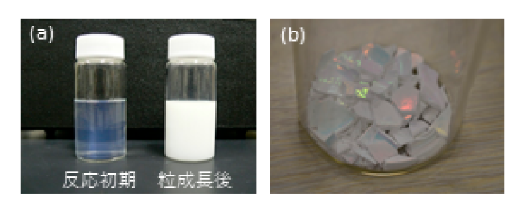 作製した(a)コロイドと(b)人工オパールの外観