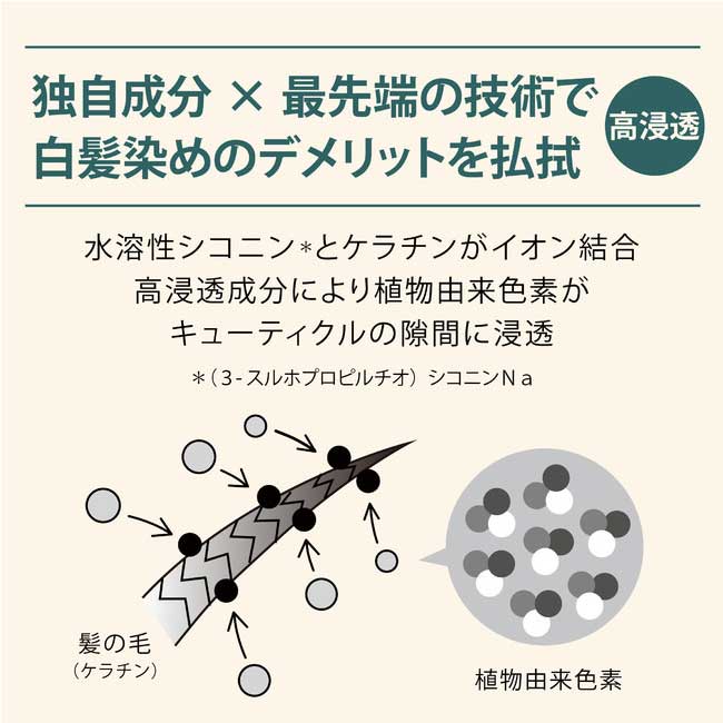 白髪染め効果と頭皮への安全性を両立した技術