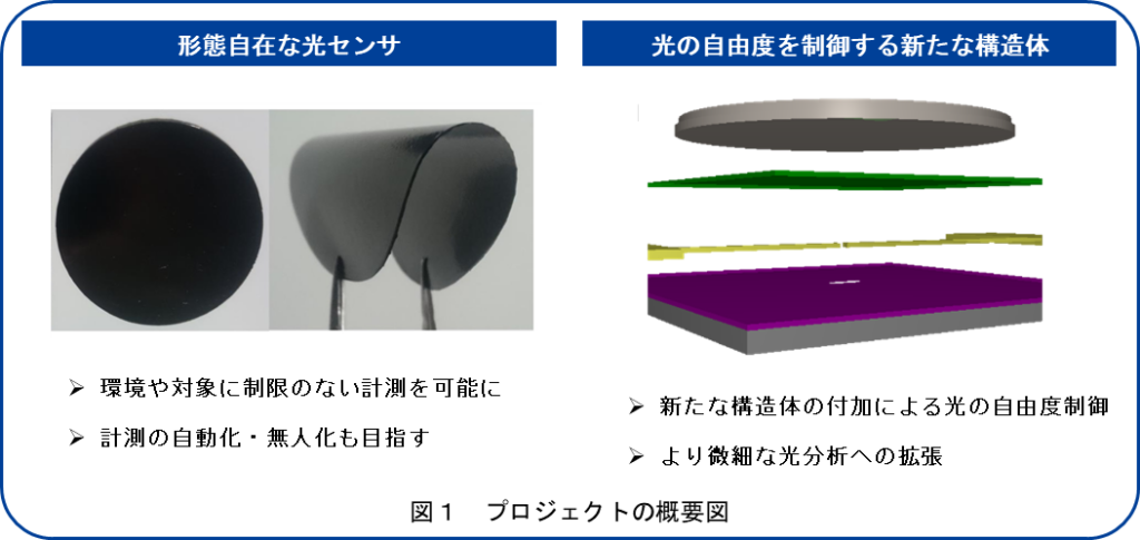 図1　プロジェクトの概要図
形態自在な光センサ 光の自由度を制御する新たな構造体 環境や対象に制限のない計測を可能に 計測の自動化・無人化も目指す 新たな構造体の付加による光の自由度制御 より微細な光分析への拡張