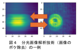 図４　分光画像解析技術（画像のボケ除去）の一例